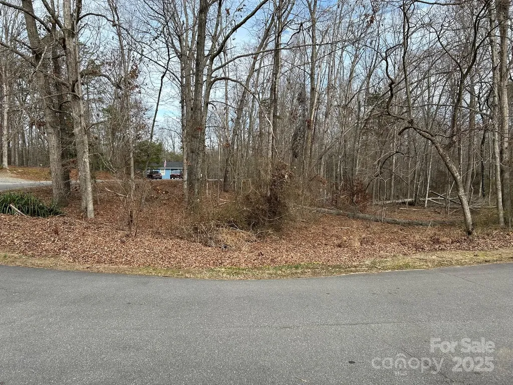 60 & 86 W Melissa Drive Forest City NC 28043
