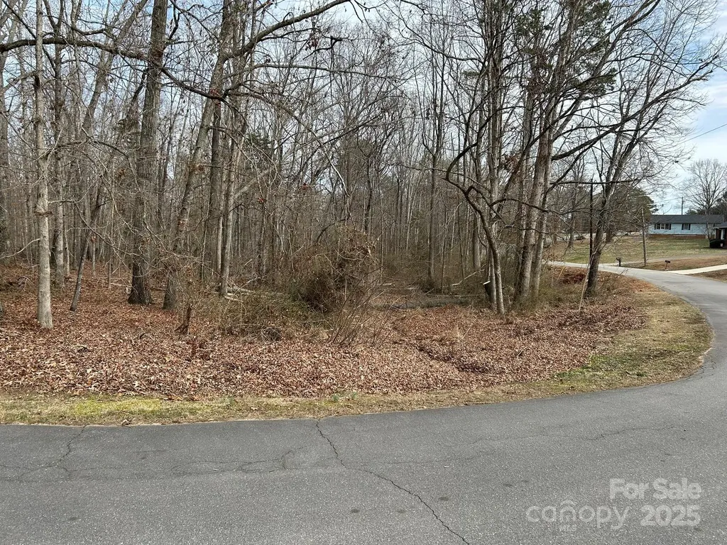 60 & 86 W Melissa Drive Forest City NC 28043