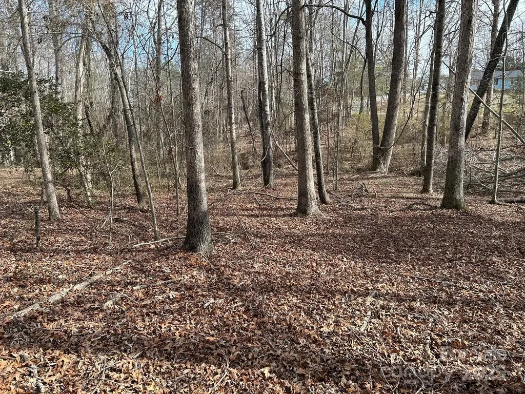 60 & 86 W Melissa Drive Forest City NC 28043