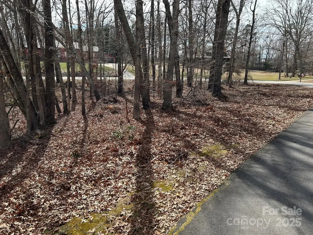 60 & 86 W Melissa Drive Forest City NC 28043