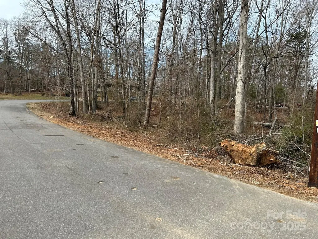 60 & 86 W Melissa Drive Forest City NC 28043