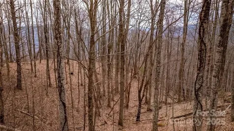 00000 Grassland Parkway Marshall NC 28753
