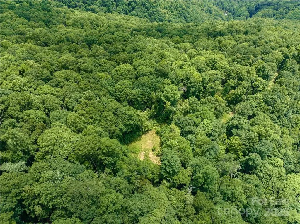 3168 Parris Branch Road Sylva NC 28779