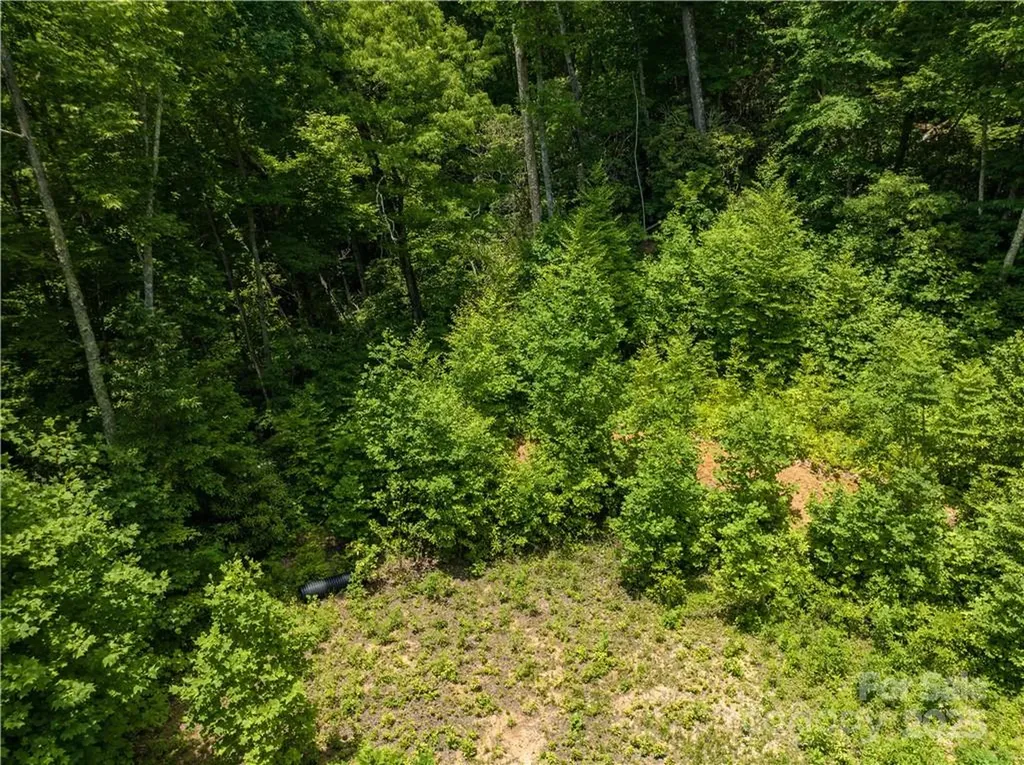 3168 Parris Branch Road Sylva NC 28779