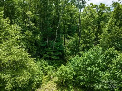 3168 Parris Branch Road Sylva NC 28779