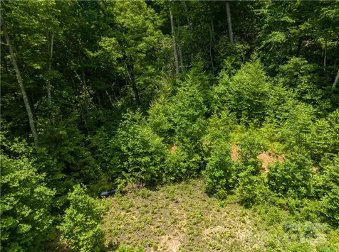 3168 Parris Branch Road Sylva NC 28779