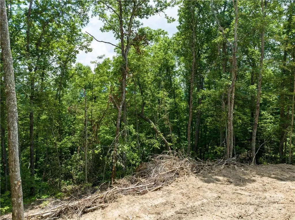 99999 Parris Branch Road Sylva NC 28779