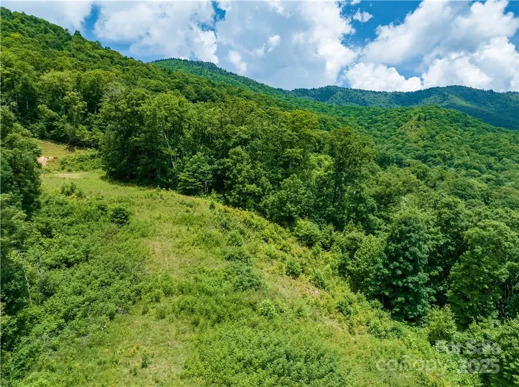 3867 Parris Branch Road Sylva NC 28779