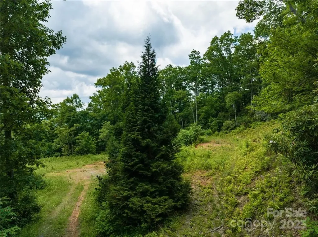 3867 Parris Branch Road Sylva NC 28779
