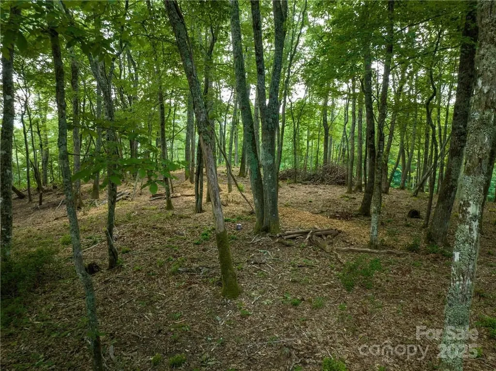167 Bold Springs Road Sylva NC 28779