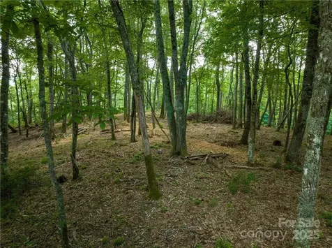 167 Bold Springs Road Sylva NC 28779