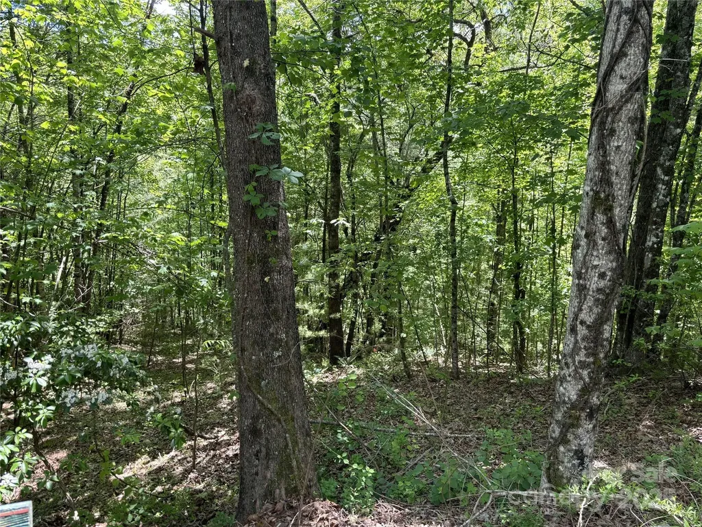 87 Stepp Ridge Court Hendersonville NC 28792