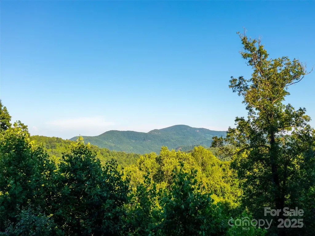 845 Grand Oaks Drive Hendersonville NC 28792
