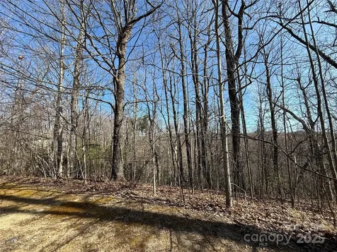 217 Chatsworth Court Flat Rock NC 28731