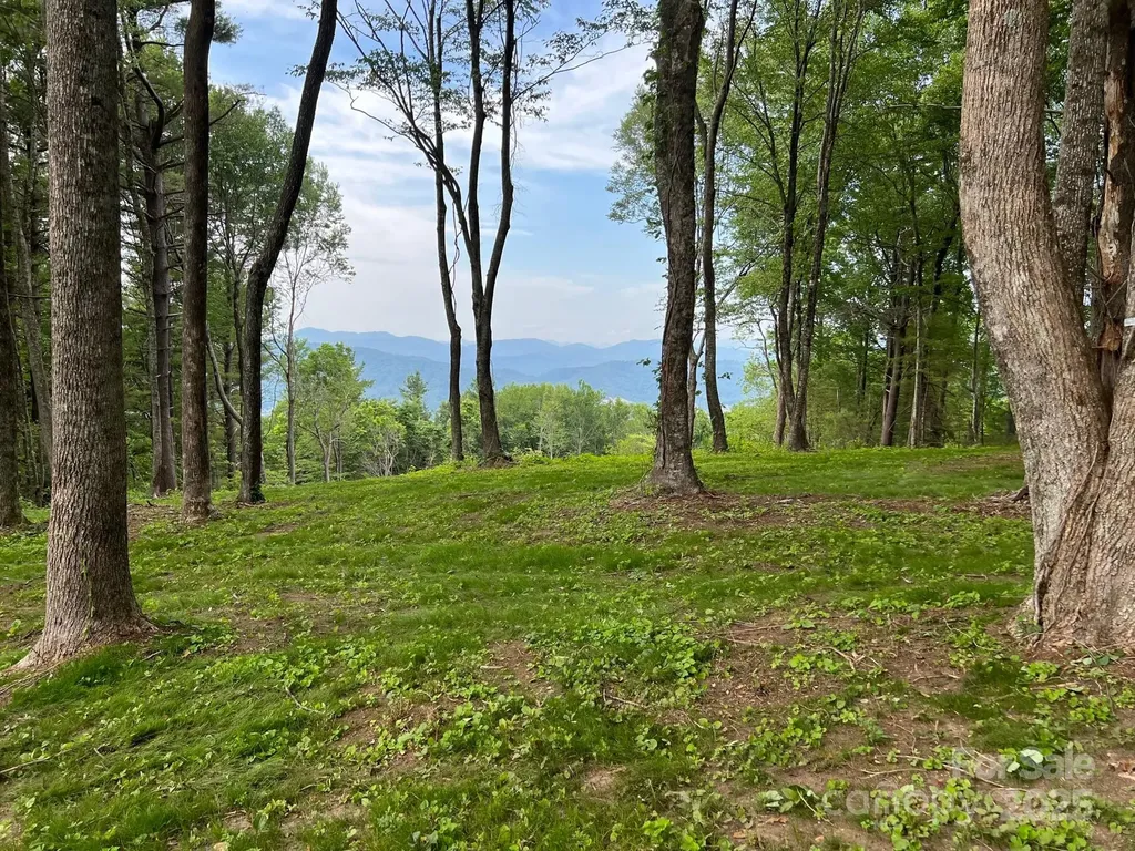 Tbd East Garden Trail Hendersonville NC 28792