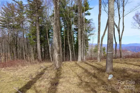 Tbd East Garden Trail Hendersonville NC 28792