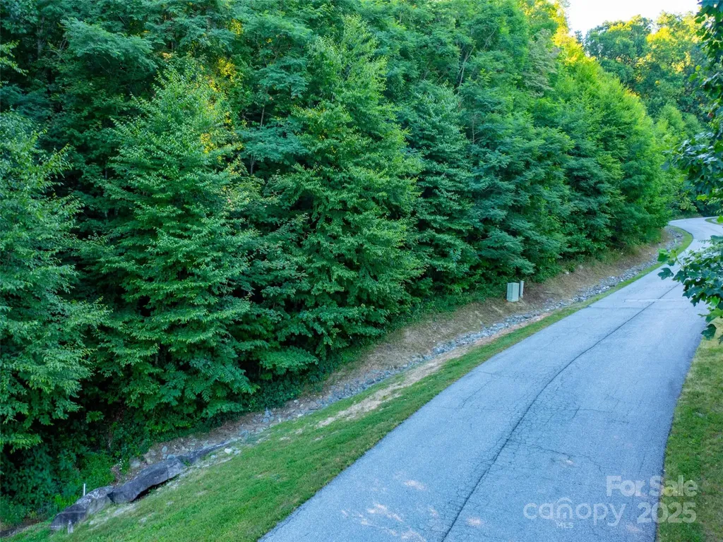 811 Grand Oaks Drive Hendersonville NC 28792