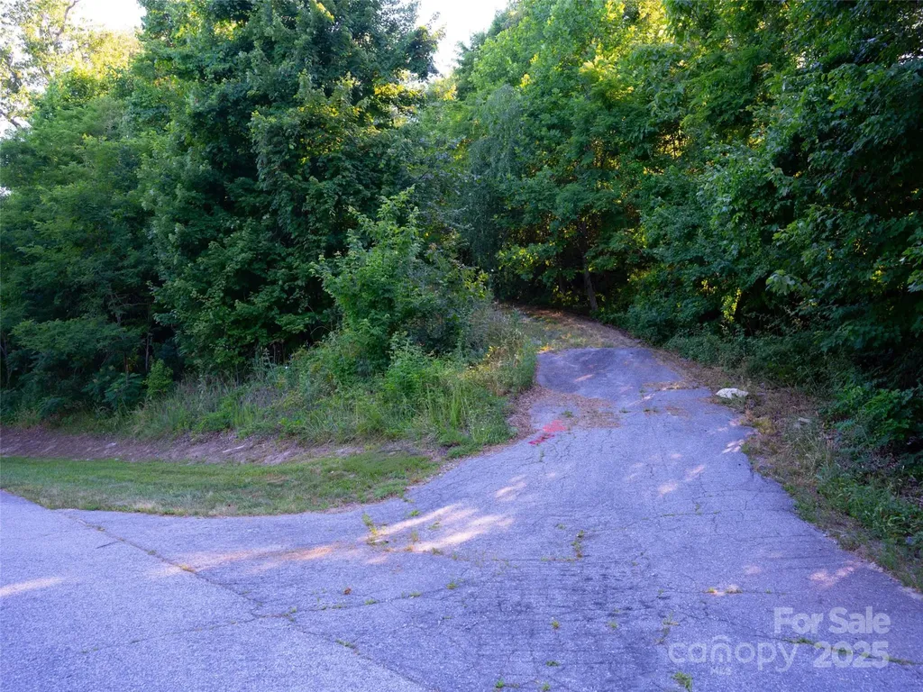 811 Grand Oaks Drive Hendersonville NC 28792