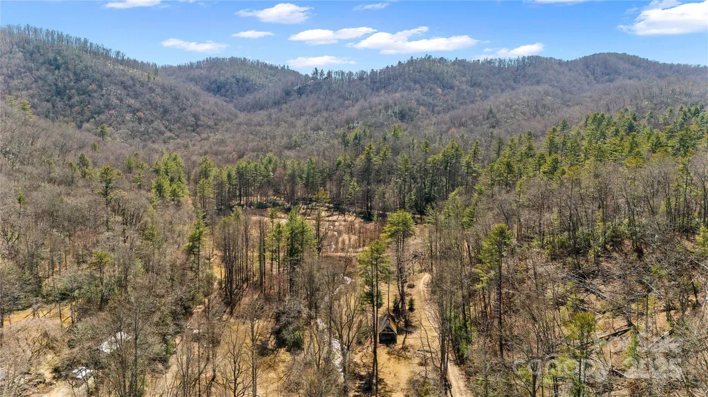 361 Rooster Cove Brevard NC 28712