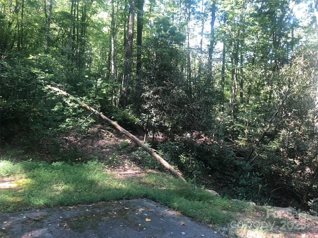 Tbd Peppervine Circle Rosman NC 28772