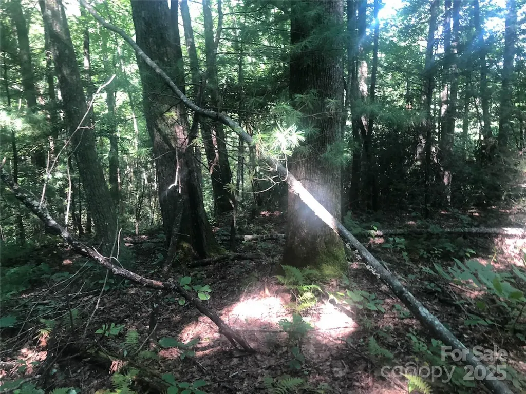 Tbd Peppervine Circle Rosman NC 28772