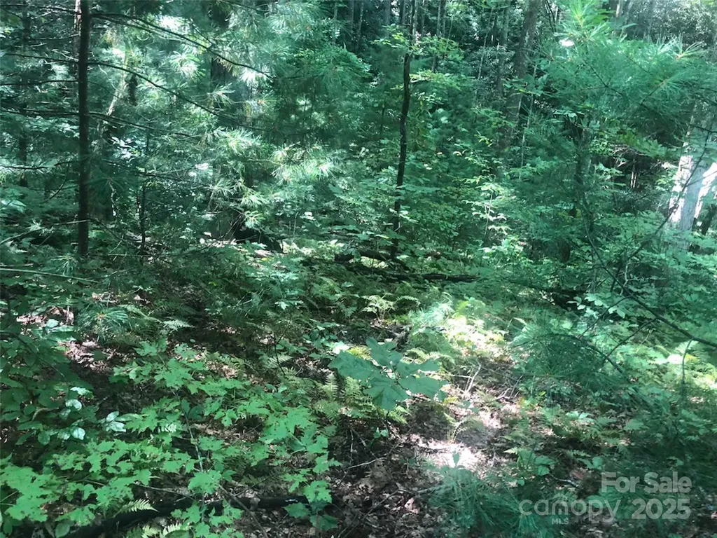 Tbd Peppervine Circle Rosman NC 28772