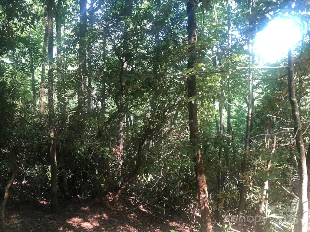 Tbd Peppervine Circle Rosman NC 28772