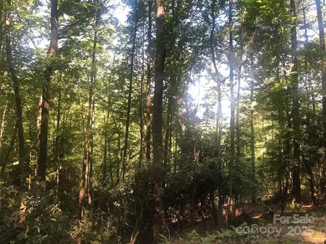 Tbd Peppervine Circle Rosman NC 28772