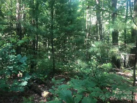 Tbd Peppervine Circle Rosman NC 28772