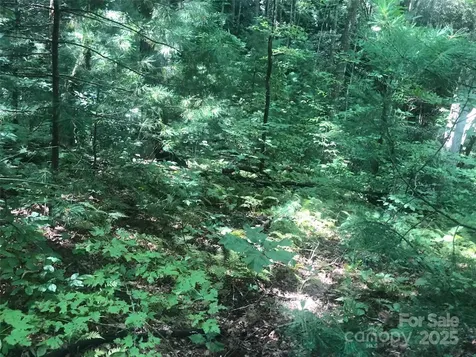 Tbd Peppervine Circle Rosman NC 28772