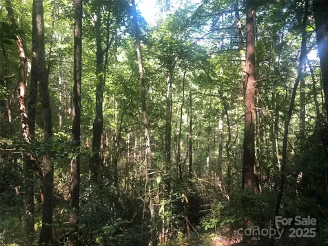 Tbd Peppervine Circle Rosman NC 28772