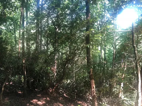 Tbd Peppervine Circle Rosman NC 28772