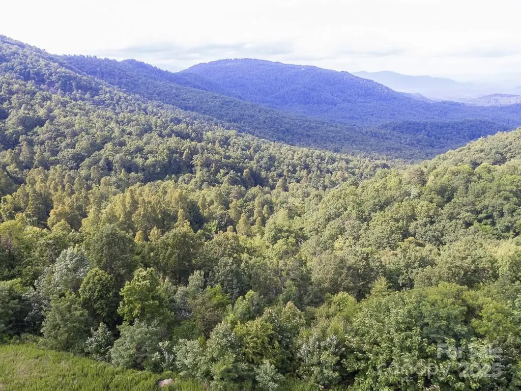 0 Grey Rock Parkway Lake Lure NC 28746