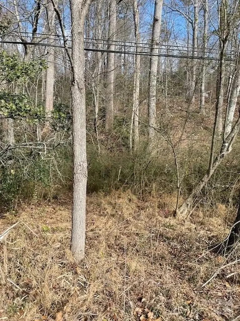 Off Us 70 Highway W Highway Old Fort NC 28762