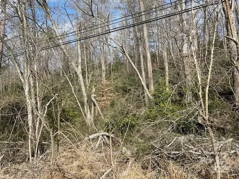 Off Us 70 Highway W Highway Old Fort NC 28762
