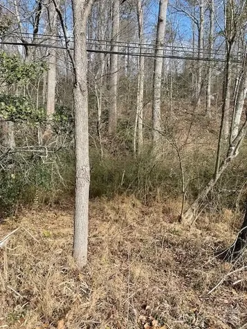 Off Us 70 Highway W Highway Old Fort NC 28762