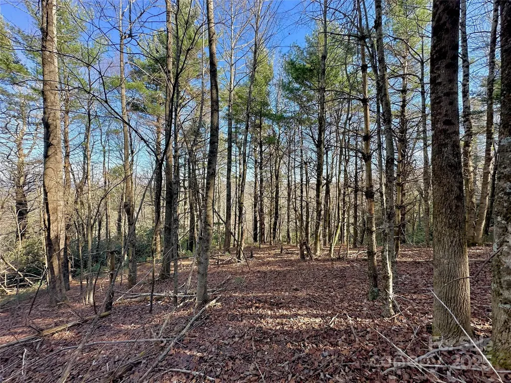 Tbd George Hayes Road Boone NC 28607