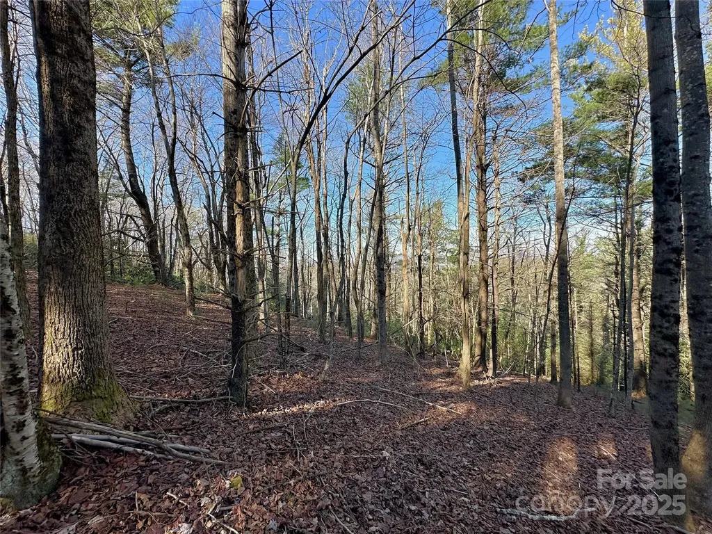 Tbd George Hayes Road Boone NC 28607