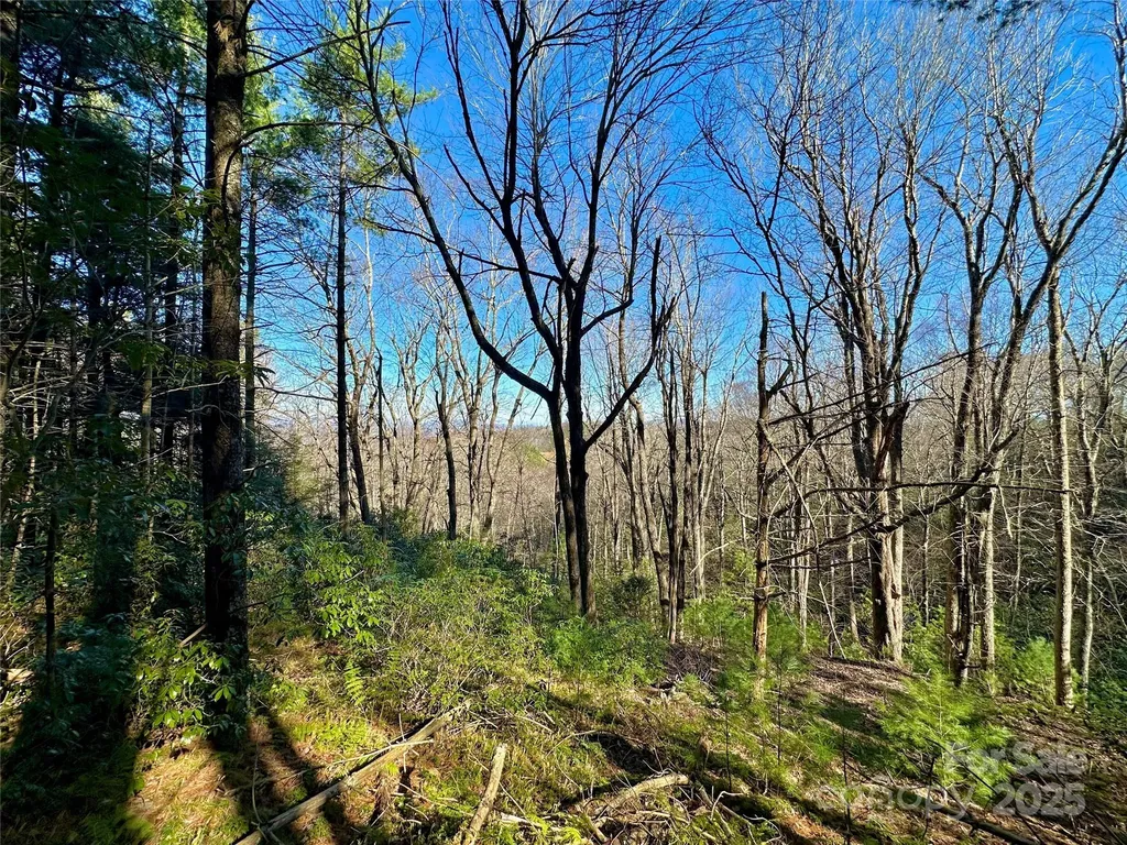 Tbd George Hayes Road Boone NC 28607