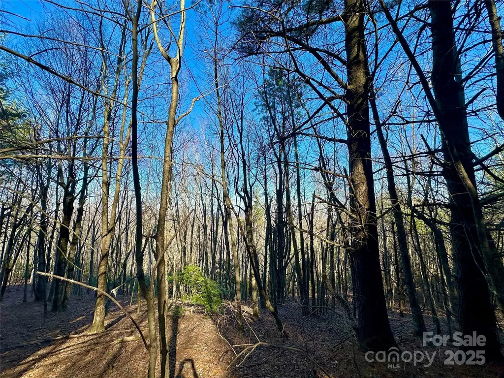 Tbd George Hayes Road Boone NC 28607