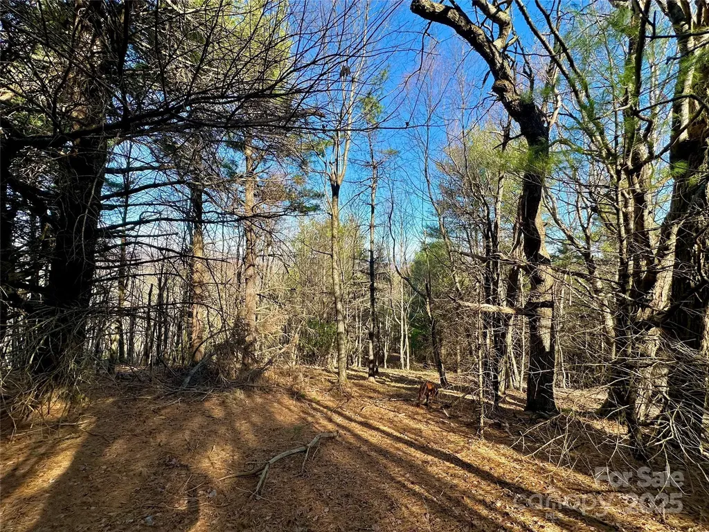 Tbd George Hayes Road Boone NC 28607