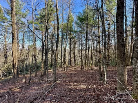 Tbd George Hayes Road Boone NC 28607