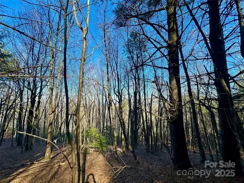 Tbd George Hayes Road Boone NC 28607
