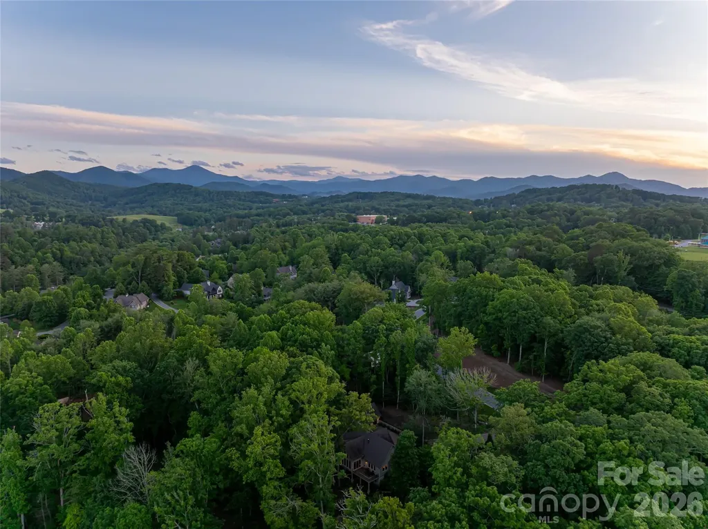 47 Twilight Sedge Drive Biltmore Lake NC 28715