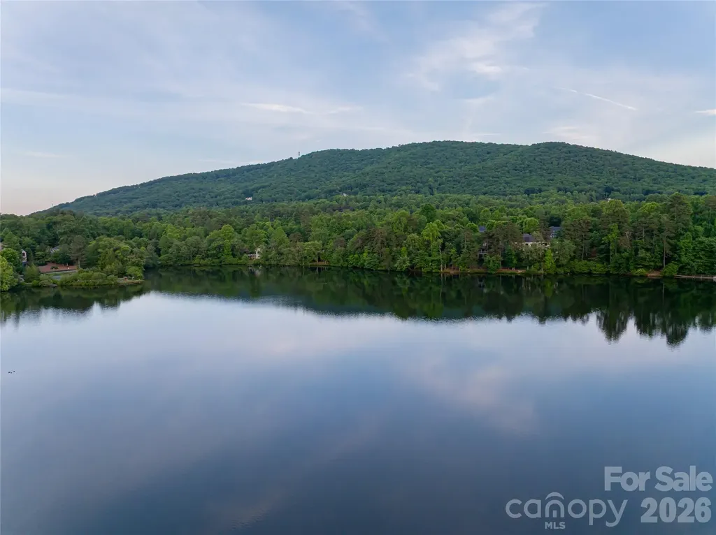 47 Twilight Sedge Drive Biltmore Lake NC 28715