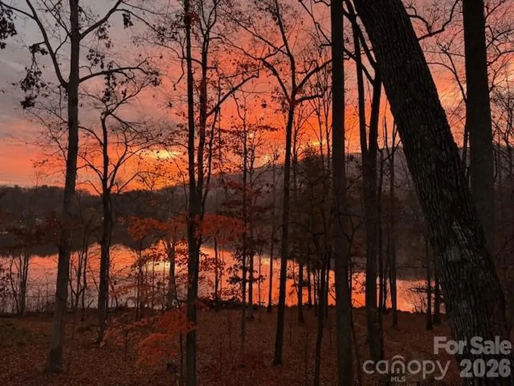 47 Twilight Sedge Drive Biltmore Lake NC 28715
