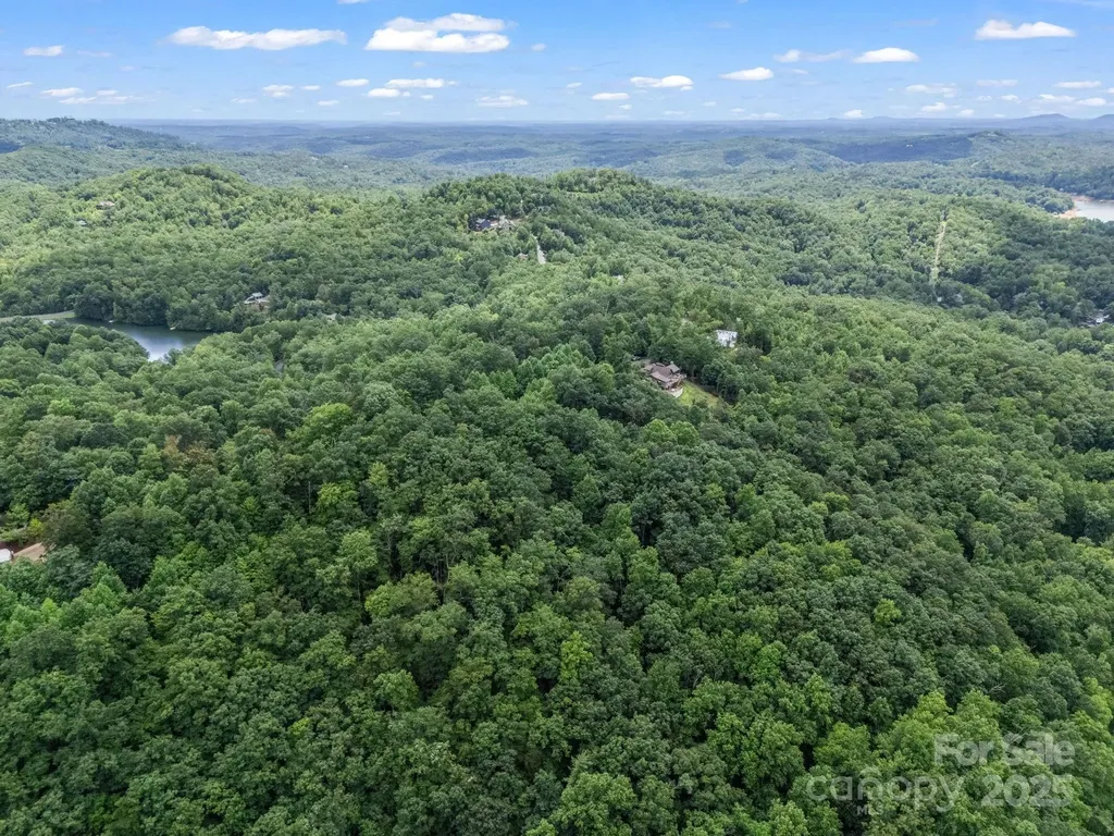 Lot 42 Hawks Nest Trail Lake Lure NC 28746