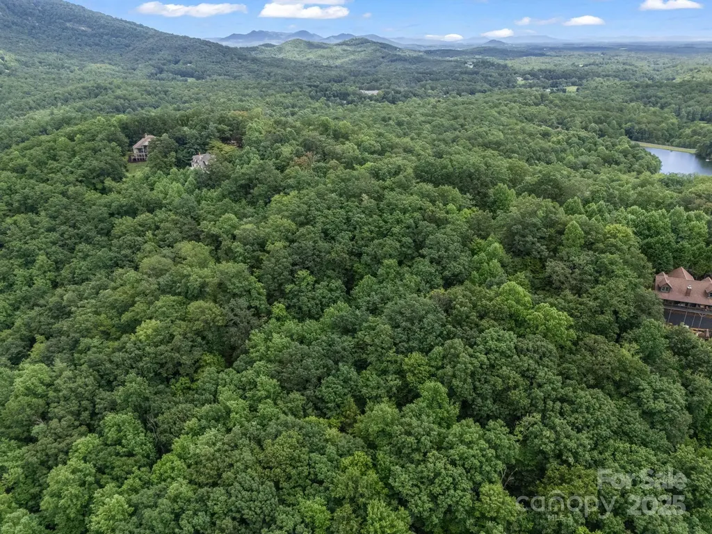 Lot 42 Hawks Nest Trail Lake Lure NC 28746