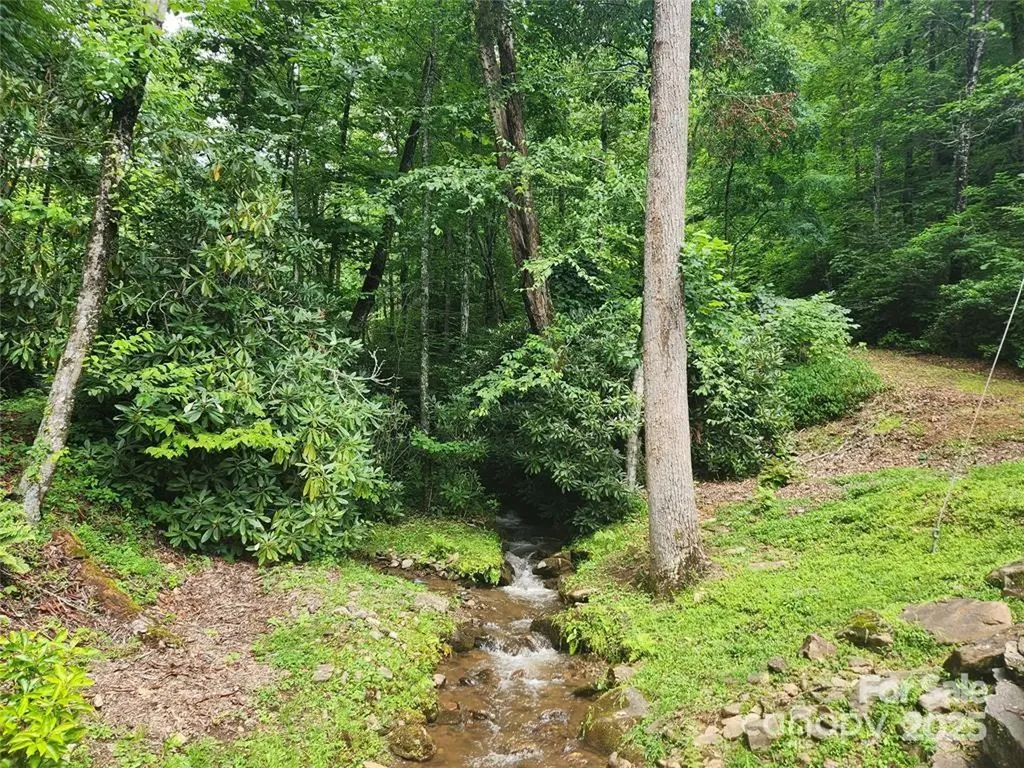 9 Red Leafe Trail Sylva NC 28779