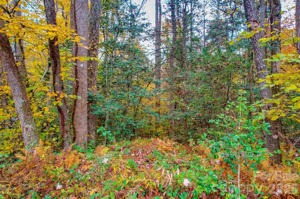 00 Grandin Road Lenoir NC 28645